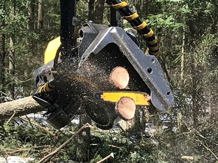 Mechanical Logging with Ponsse Ergo Processor