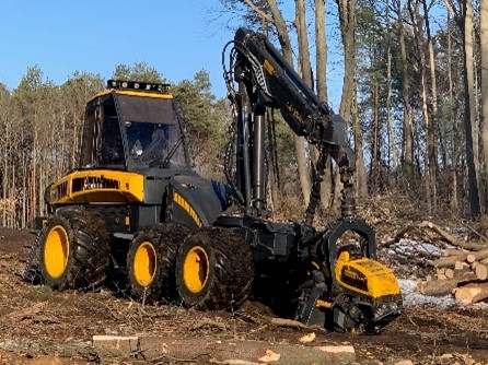 Buy Standing Timber Ludington