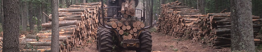 Habitat Management in West Michigan