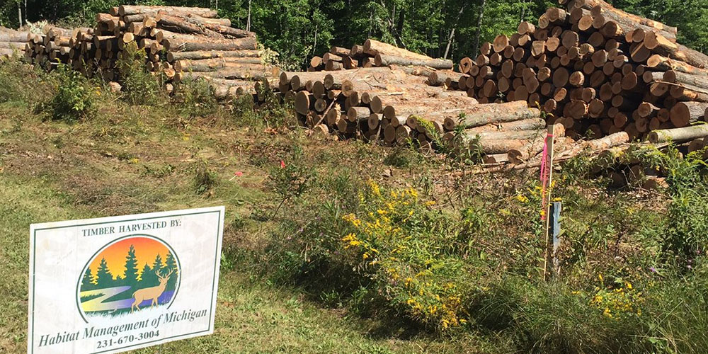 Land Clearing West Michigan