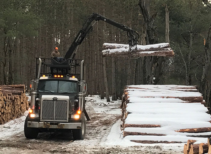Muskegon land clearing